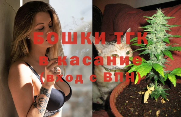 прущие крисы Абаза