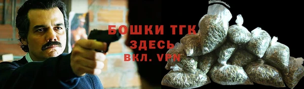 прущие крисы Абаза