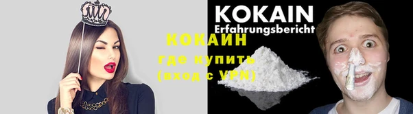 прущие крисы Абаза