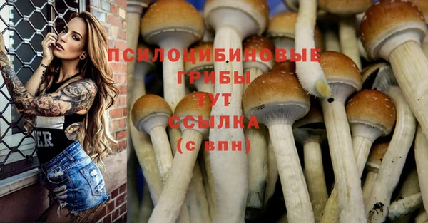 гидра Абдулино
