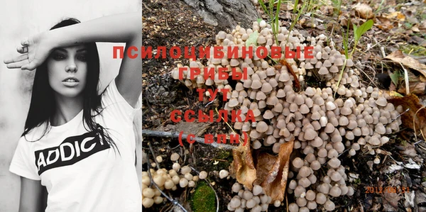 гидра Абдулино