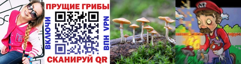мега ссылка  Оренбург  Галлюциногенные грибы прущие грибы 